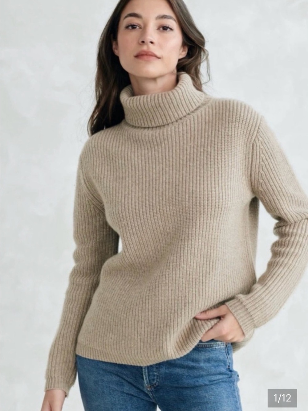 NWT Jenni Kayne Ribbed Turtleneck Sweater in Beige